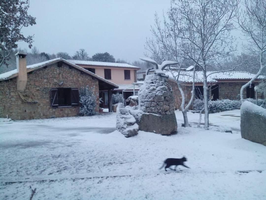 Hotel Il Nido Dell'Aquila Villanova Strisaili Exterior foto